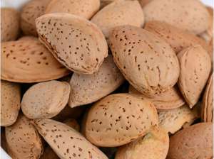 بادام سنگی (300گرم)
