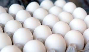 تخم مرغ فله (نیم کیلو)